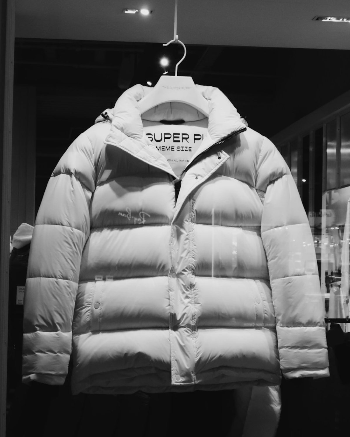 The North Face Nuptse 700 puffer e bardhë