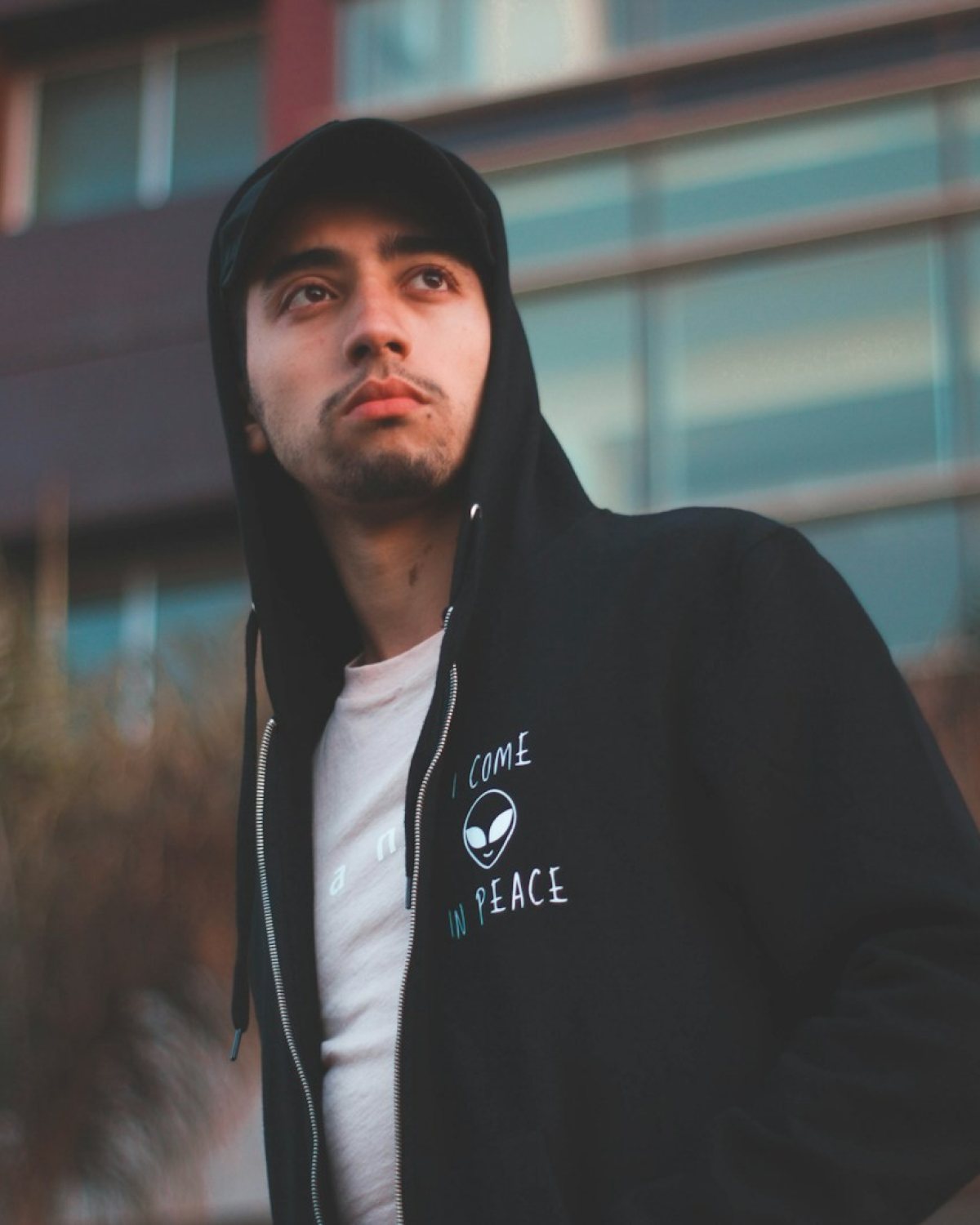 The North Face zip hoodie i zi Y2K